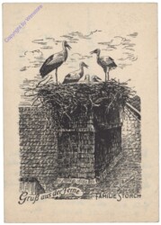 Gruss aus der Ferne, Familie Storch