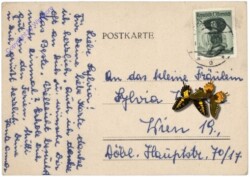 Gruss aus der Ferne, Familie Storch