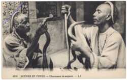 Schlangenbeschwörer - Scénes et types - Charmeurs de serpents