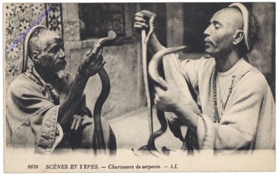 Schlangenbeschwörer - Scénes et types - Charmeurs de serpents