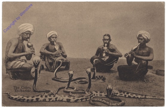 Schlangenbeschwörer - The Cobra Enchanter