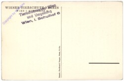 Grashüpfer