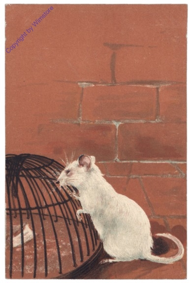 2321 Mäuse