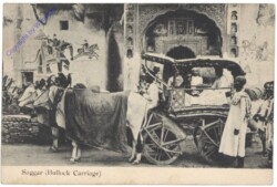 Saggar (Bullock Carriage)