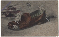 Mäuse im Schuh mit Spinne