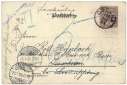 ak124497a Rehgais mit Kitz