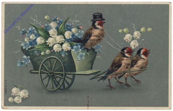 Vogelkutsche