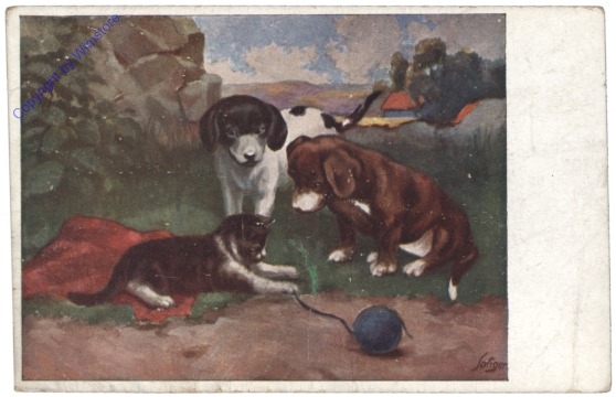 Welpen sehen Katze beim Spielen zu