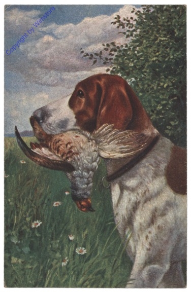 Hund mit Beute