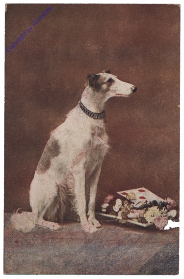 Sitzender Hund