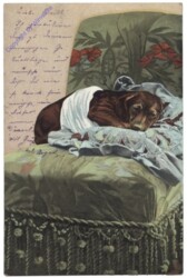 Hund am Sessel
