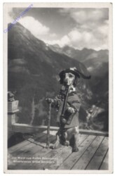 Der Waldi vom Kaffee Restaurant Böekfeldalpe