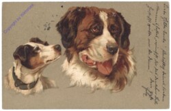 Hundeköpfe