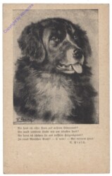 Hund, Vers