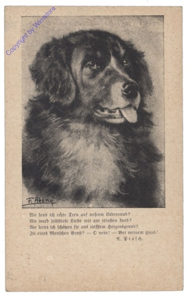 Hund, Vers