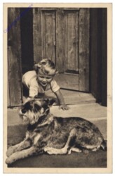 Kind mit Hund