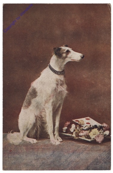 Sitzender Hund