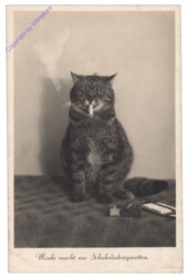 Minki raucht nur Schokoladezigaretten