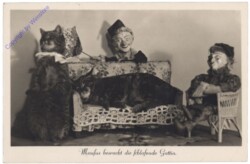 Maufus bewacht die schlafende Gattin
