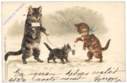 Drei Katzen