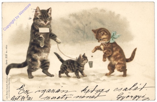Drei Katzen