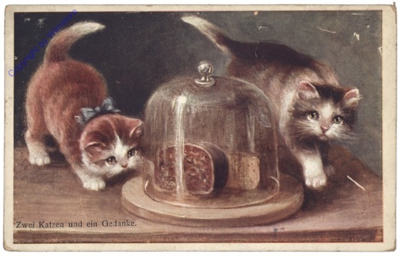 Zwei Katzen und ein Gedanke