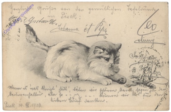 ak124626 Katze spielt mit Krebs