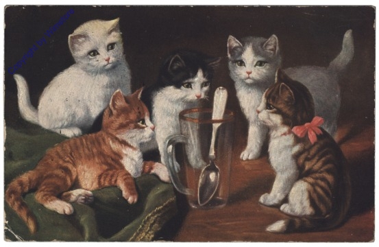ak124640 Katzen