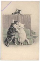 ak124641 Katzen tanzen