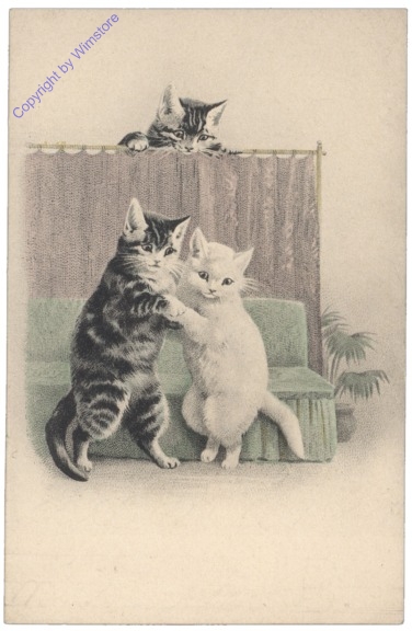 ak124641 Katzen tanzen