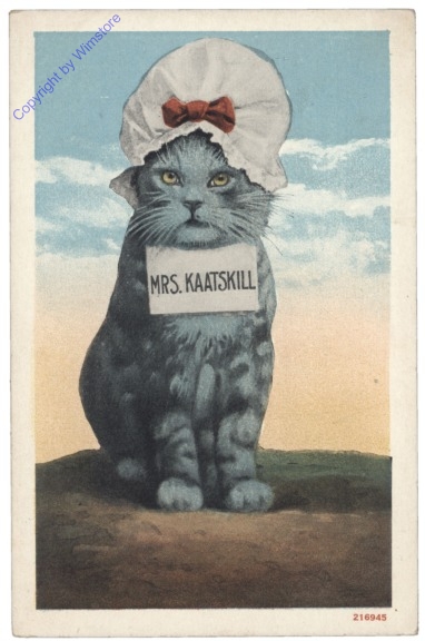 Mrs. Kaatskill