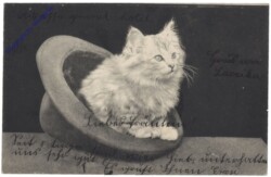 ak124643 Katze im Hut