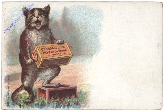 ak124644 Katzenjammer