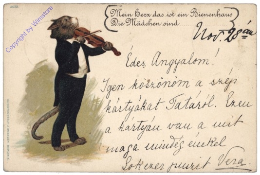 ak124646 Katze mit Geige