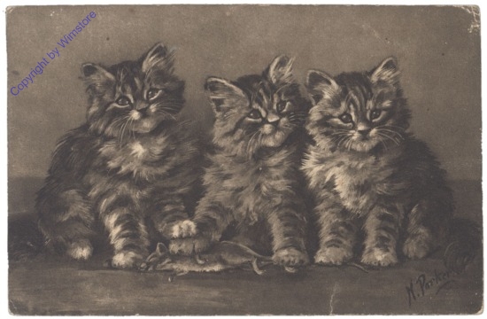 3 Katzen mit toter Maus