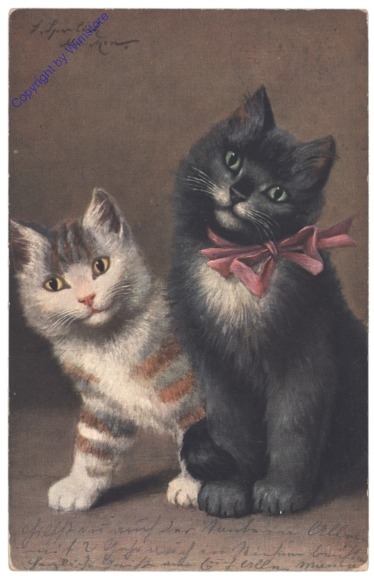 Zwei Katzen