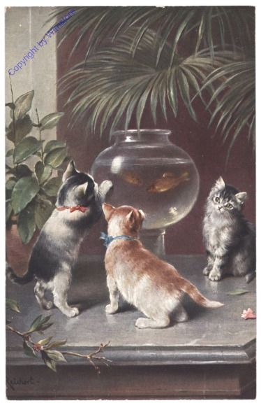 Drei Katzen vor dem Goldfischglas