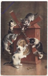 Katzen spielen mit einer Uhr