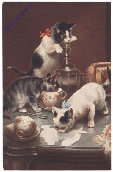 ak124664 Katzen spielen am Kaffeetisch