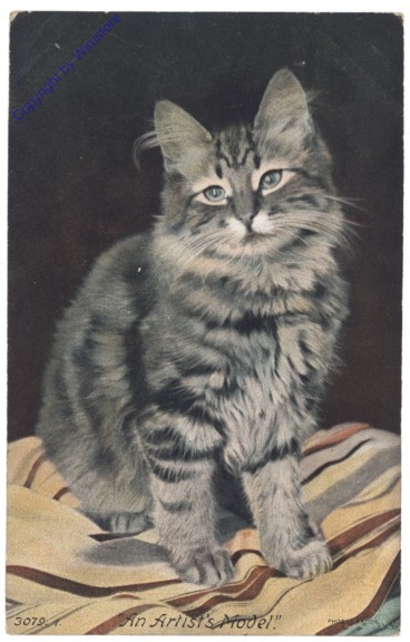 An Artist's Model