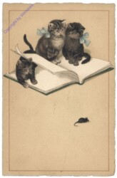 ak124669 Katzen mit Buch
