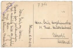 ak124669a Katzen mit Buch