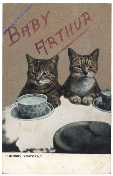 ak124670 Hungry Visitors