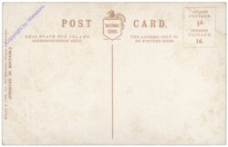 ak124670a Hungry Visitors