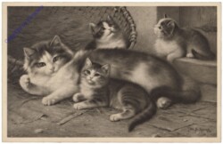 Katze mit ihren Jungen