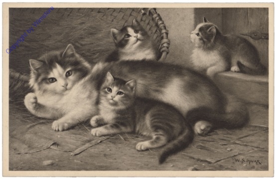 ak124671 Katze mit ihren Jungen