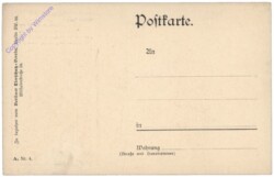 ak124679a Kätzchen