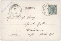 Zwei Miezen