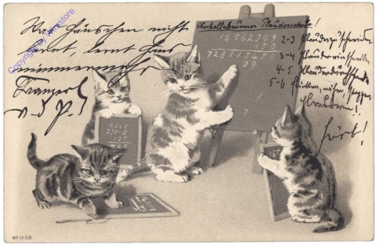 ak124686 Katzenschule