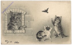 ak124687 Spielende Katzen